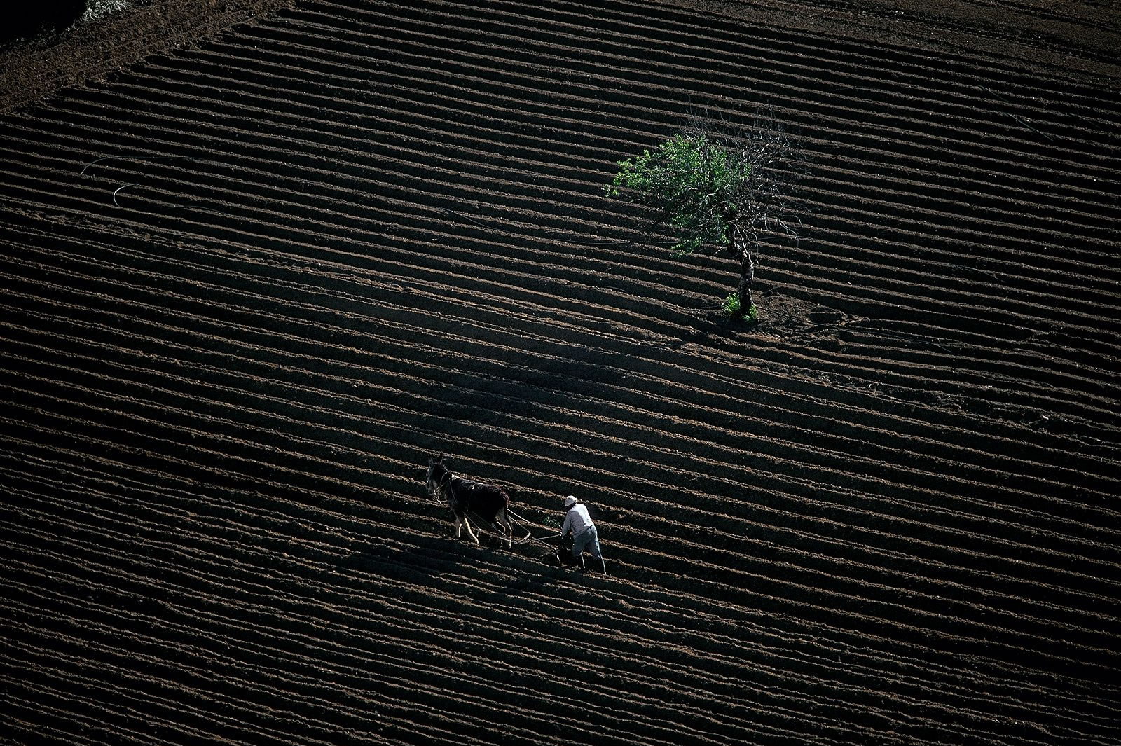 Ян Артюс Бертран. 60 самых невероятных фотографии со всего света Ян Артюс Бертран. 60 самых невероятных фотографии со всего света