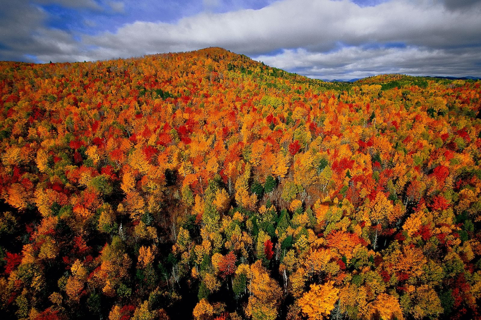 Ян Артюс Бертран. 60 самых невероятных фотографии со всего света Ян Артюс Бертран. 60 самых невероятных фотографии со всего света
