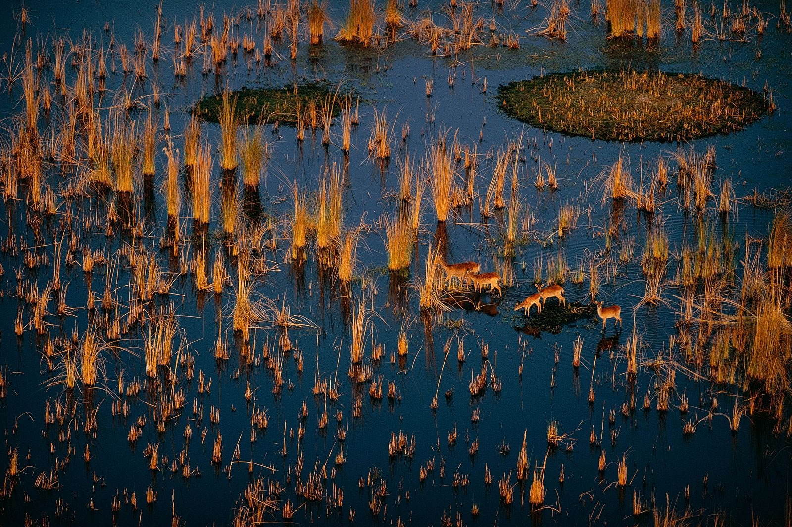 Ян Артюс Бертран. 60 самых невероятных фотографии со всего света Ян Артюс Бертран. 60 самых невероятных фотографии со всего света