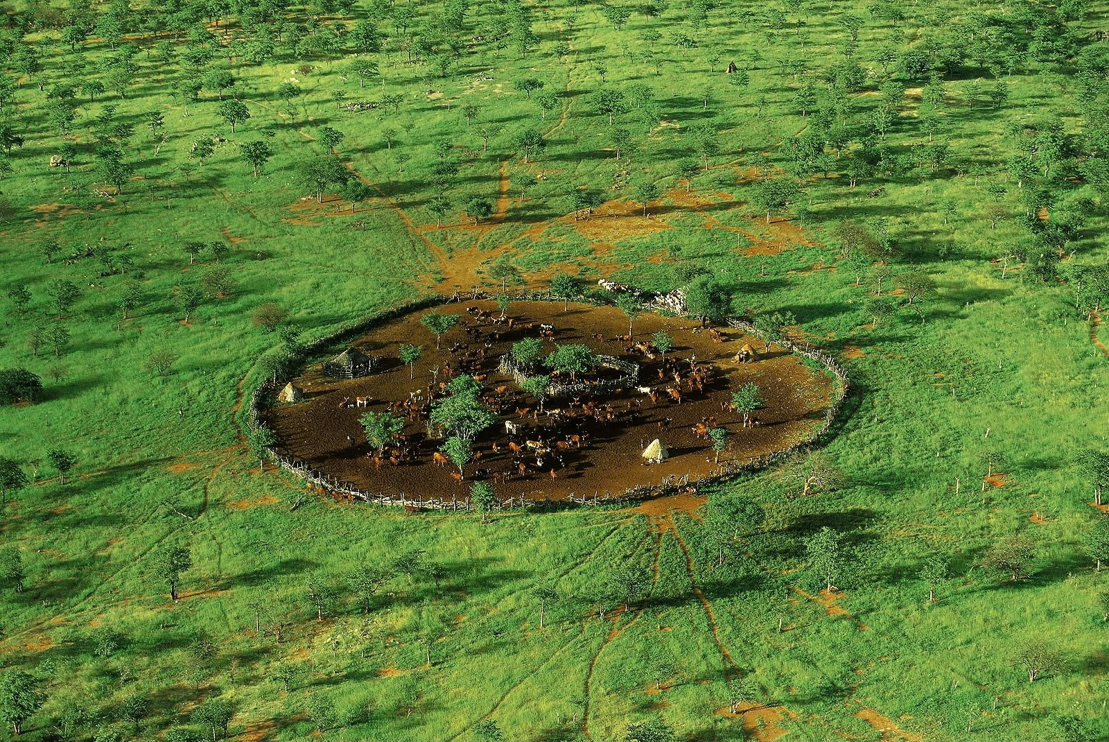 Ян Артюс Бертран. 60 самых невероятных фотографии со всего света Ян Артюс Бертран. 60 самых невероятных фотографии со всего света