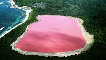Озеро Хиллер: розовое озеро в Австралии (Lake Hillier)