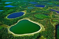 Пантанал – крупнейшие болота на планете