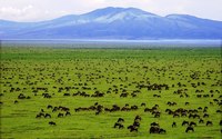 Национальный парк Серенгети — самый большой заповедник в мире