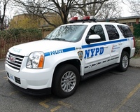 Департамент полиции Нью-Йорка