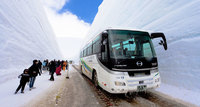 Дорожный каньон из снега в Японии (ФОТО)