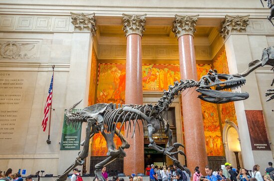 Топ 15 самых лучших музеев США