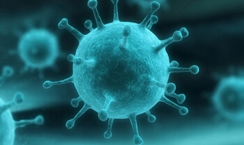 Covid-19: все, что нужно знать, для путешествия во время вспышки коронавируса