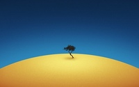 Дерево Тенере — самое одинокое дерево в мире