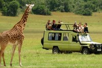 Сафари тур (Safari tour)