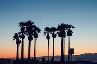 Венис Бич, Лос-Анджелес Веб камера онлайн. (Venice Beach, Los Angeles)