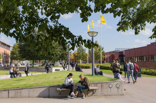 Шведский университет Линнеус (Swedish linnaeus University)