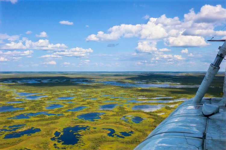 Васюганские болота — одна из крупнейших в мире болотных систем